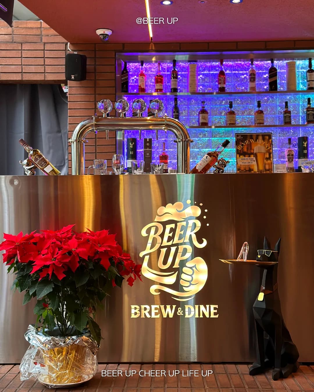BEER UP thumbnail 2