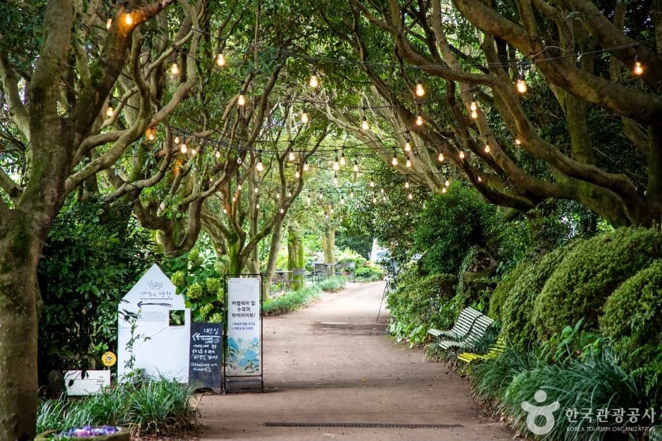 Camellia Hill image