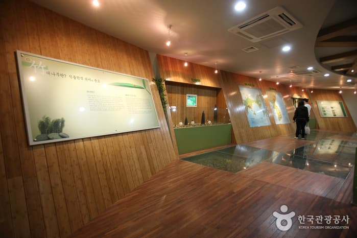 Korea Bamboo Museum thumbnail 3