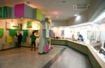 Korea Bamboo Museum thumbnail 2
