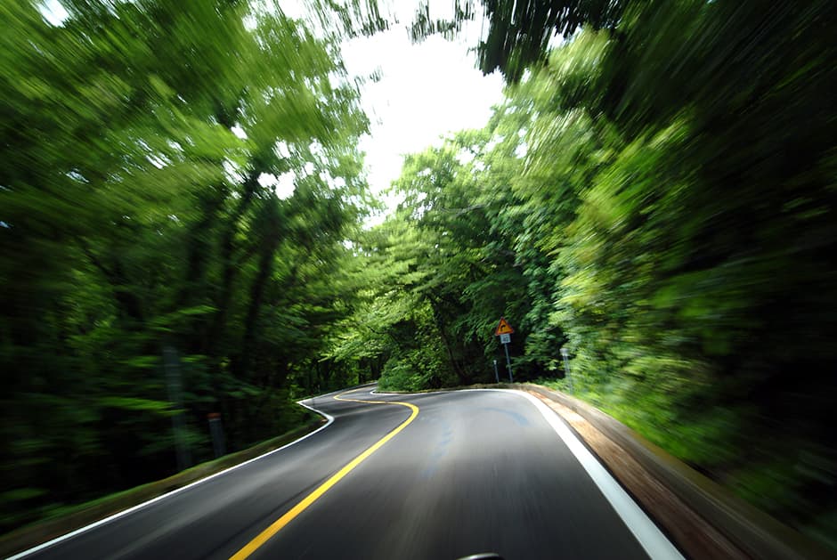 5.16 Tree Tunnel thumbnail 2