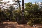 Bijarim Forest thumbnail 2