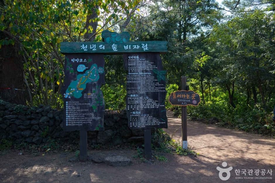 Bijarim Forest thumbnail 3
