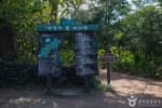 Bijarim Forest thumbnail 4