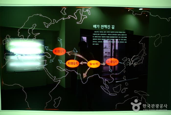 Naju Pear Museum thumbnail 4