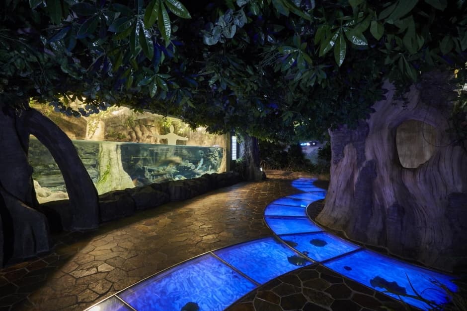 Aqua Planet Jeju thumbnail 3