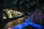 Aqua Planet Jeju thumbnail 4