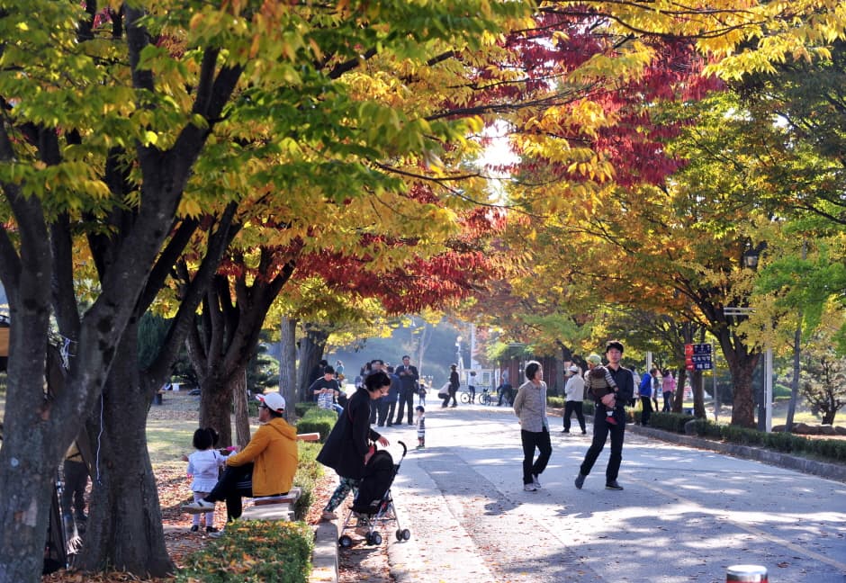 Jungoe Park image