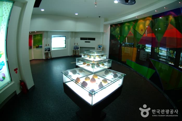 Naju Pear Museum thumbnail 2