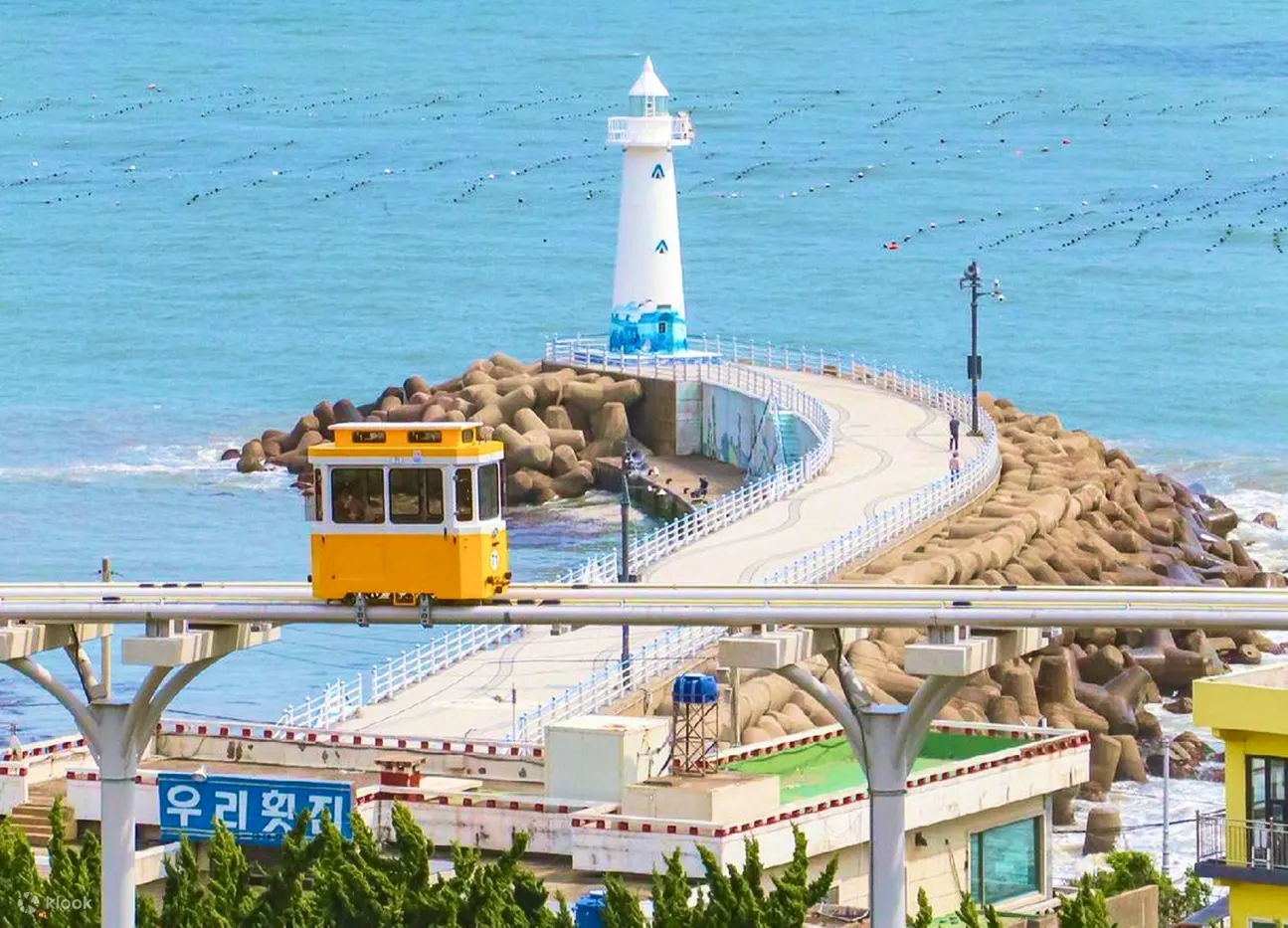 Busan One-Day Highlights Regional Guide image