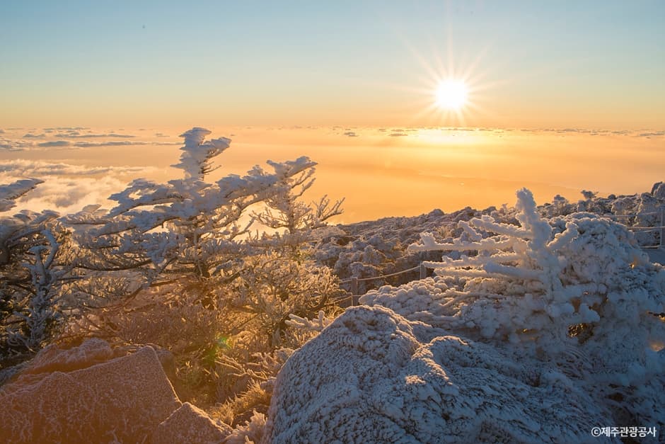 Hallasan Mountain selected image